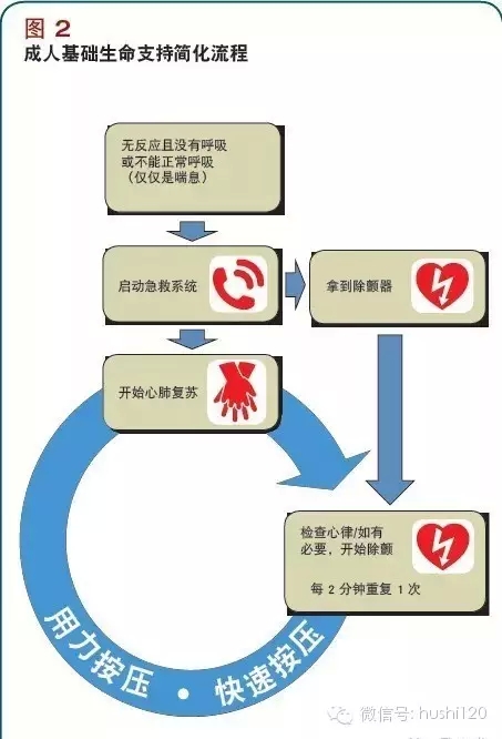 最新心肺复苏方法(cpr)