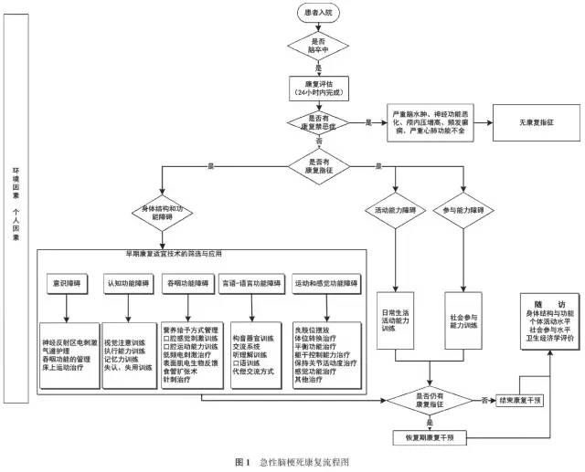 共识易览:脑梗死急性期如何康复治疗?
